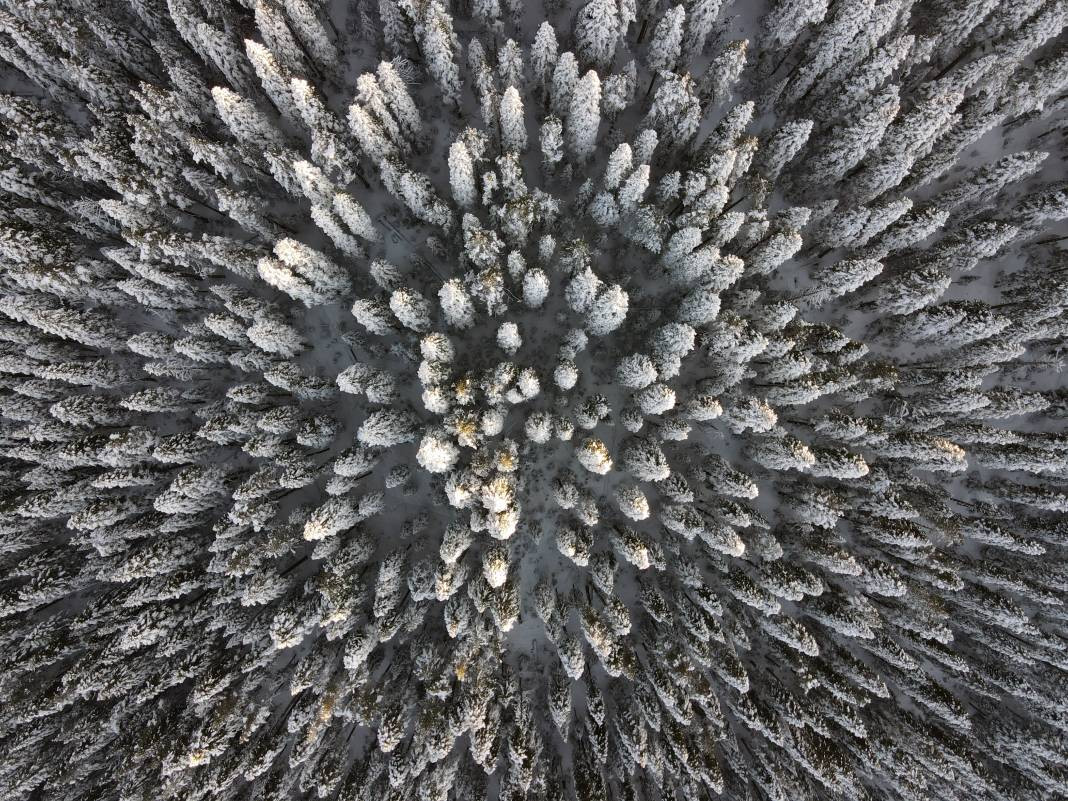 Ilgaz Dağı'nda kartpostallık görüntüler - Resim: 21